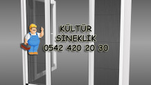 Kültür Sineklik