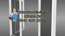 Ondokuzmayıs Sineklik