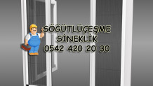 Söğütlüçeşme Sineklik