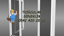 Toğçular Sineklik