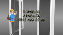 Topselvi Sineklik