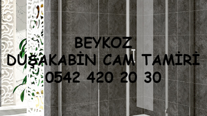 Beykoz Duşakabin Cam Tamiri