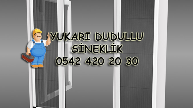 Yukarı Dudulu Sineklik